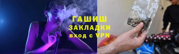 прущие грибы Алексеевка