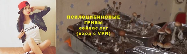 трава Алзамай